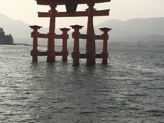 国の重要文化財となっている厳島神社の大鳥居です。
この時期の夕方は潮位が高く、海に浮かんでいるように見えました。