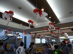 山口・宇部空港に到着。
何で、金魚なのか、何の情報もないので、分からず。

何で？？？