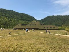 見てみたかった光景が