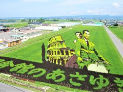 田舎館村展望台（田舎館村役場）からの田んぼアートの眺め。混むときは1時間くらい待つそうです。今年はローマの休日ですね！初めて見たときは「おぉ」と叫んでしましました。

