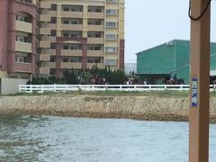 西戸崎では馬がいました。