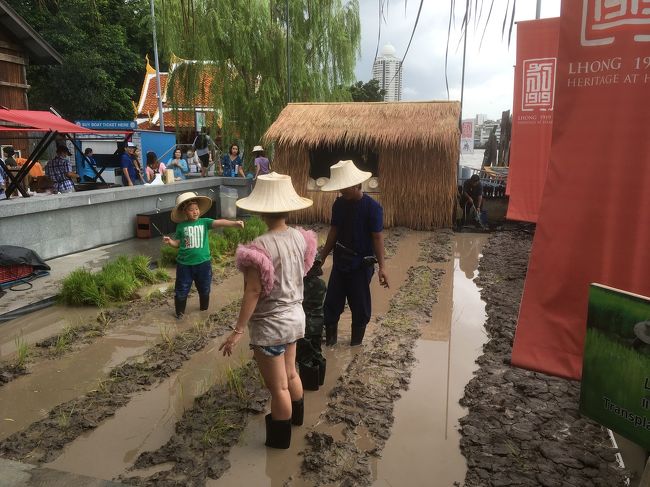 農業体験もできます、タダですよ、子供可愛い。