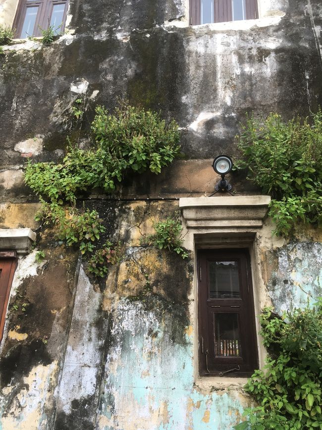 古い感じがまた良いね。