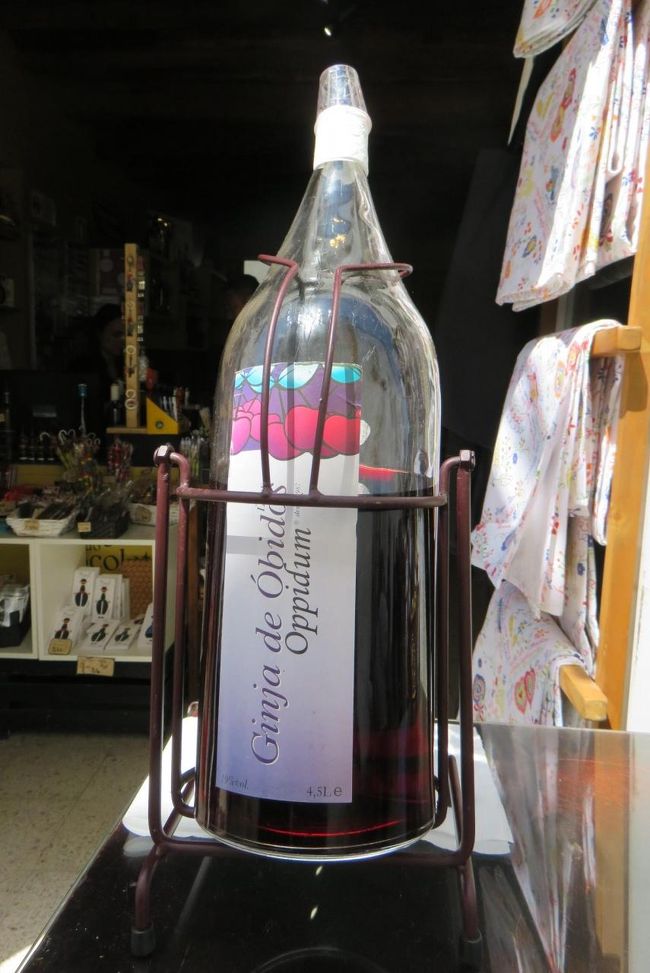 オビドスのジンジャです。<br />