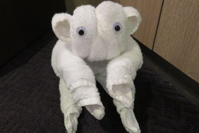 今日のタオルアートです。