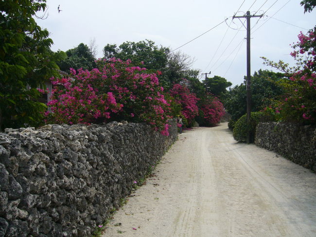 ブーゲンブリア