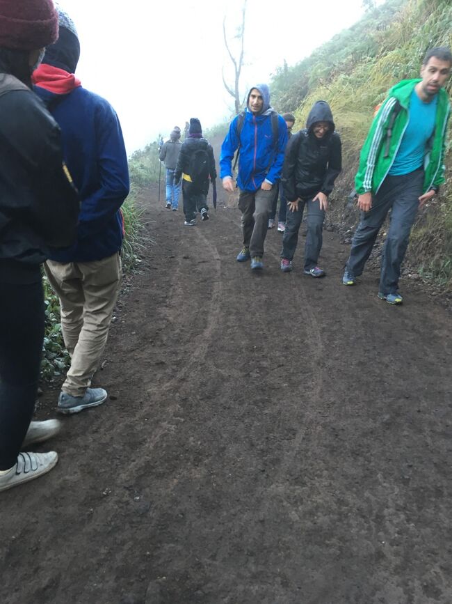 だから道も歩きにくいしね。<br />ブルーファイヤーはもう夜が明けて見えないのに、山頂に向けて上がってくる人っているんだ。<br /><br />人力車みたいなタクシーに座って山を登ってくる人もいたなぁ。<br />あれは2人の人力が必要だったから、相当金はかかっていたと思う。