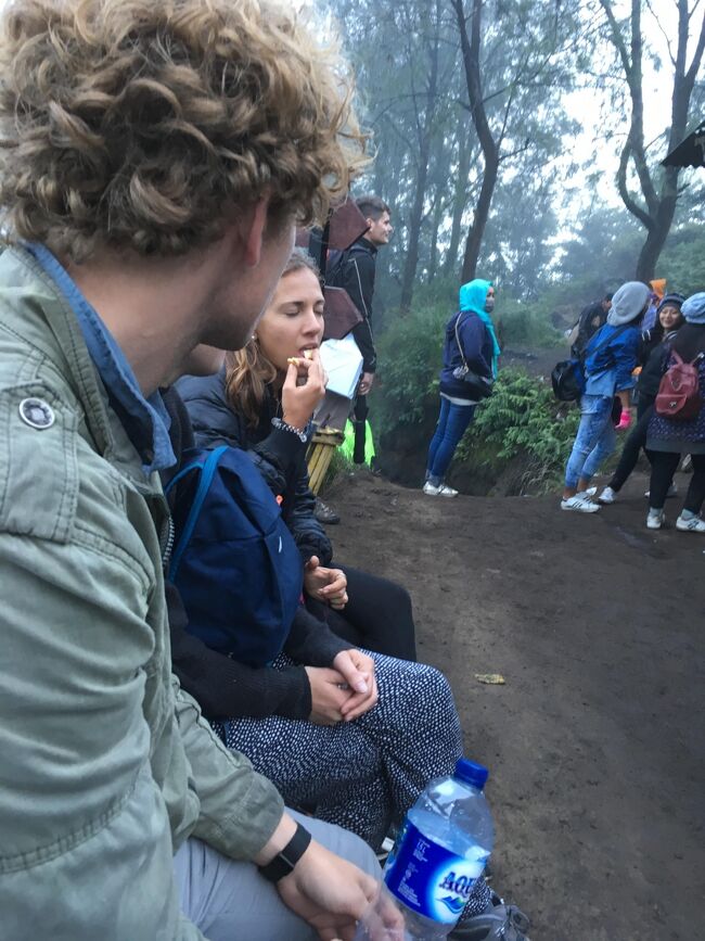 ここでチーム仲間と再会。<br />昨日から移動が一緒だったメンバーだ。<br />彼らはバリ島へ行った後、少し遊んでから次はスマトラ島へ行って、熱帯雨林を楽しんでくると言う。<br />何とパワフルな、と思った。<br /><br />このメンバー、私より先に、あのレンタルガスマスク屋に切れていたようである。<br />だから私がガスマスクを投げつけて返した時も、ガスマスク屋が反撃に出なかったのは、この人たちに少し攻撃された後だったからなんだろうな。<br /><br />この後、一緒に仲良く下山した。<br /><br />