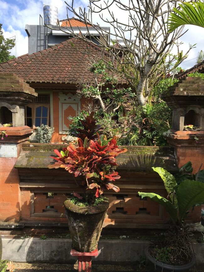 １６時３０分、宿に到着。<br />でも宿前までは送ってくれなかった。<br />と言うのもウブドは渋滞が酷くて、そしてジャワ島と違い道も細く、車が入れなかったんだ。<br />だから近くで降ろしてもらい、そこからグーグルマップ先生に誘導してもらい、宿に向かった。<br />