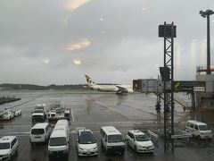 台風最接近で欠航を心配しつつ早めに成田空港に来ました。台風がどんどん近づいて来るので、欠航になった便や定刻より早く出発していった便も多かったようです。