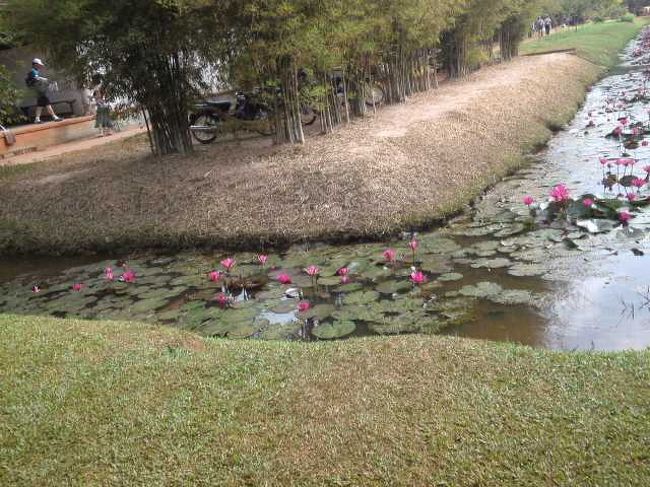 バンテアイスレイまでは大きな観光バスでは行けない道らしく、<br />小さいバスで。<br /><br />道のり見たら納得。<br />けっこうガタガタする道だった。<br /><br />バス降りて敷地入ったらきれいなかんじ。<br />スイレンかな？