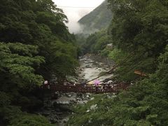 車で数分

駐車場に車を停めて
いざかずら橋へ

小雨になってきました