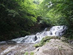 それでは渋滞の軽井沢を脱出しましょう。
北上して、北軽井沢の魚止めの滝へ。

道の案内板は”浅間大滝”となってますので、注意です。
駐車場から下っていくと、涼しげな水音。
軽井沢の白糸の滝から比べると、ささやかですけど観光客が先客お２人様のみ！

マイナスイオン浴びまくりです。

https://www.youtube.com/watch?v=oIjRauqSsNE
