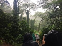 はい！雨です。雨が多いところだからの、この緑ですから！

ツアーには、
リュック、つえ、ポンチョ、 ボトルウォーター
が含まれてます。

ポンチョを被って進みます。