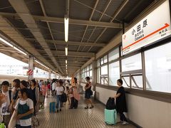 新幹線は、小田原駅からひかり号に乗車!