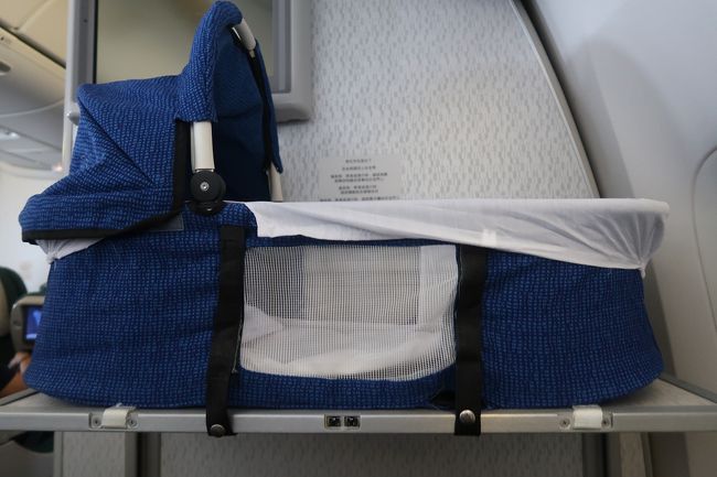 娘はベビーバシネットで寝るのを嫌がって、ずっと起きていました。