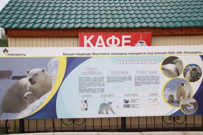18年シベリア サハ共和国ヤクーツクへの旅 ヤクーツク動物園orto Doidu 思いがけず会えた黒ギツネの赤ちゃんたち ホッキョクグマのロモノーソフくんとコルィマーナさん 日本の動物園 であまり見ない動物たちもたくさん ヤクーツク ロシア の旅行記 ブログ