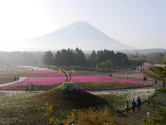展望台があるので上に載って、本物の富士山とミニ富士。