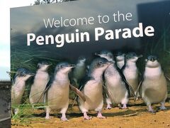 いよいよペンギンパレードの会場に到着しました。