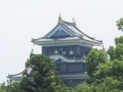 庭園から岡山城が見えます。
今回は、行く時間が出来なかったのでここから遠目で見ておしまいです。