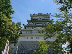 勝山城博物館

一目見ただけで実在しなかった天守閣風建築物だとわかる階層ｗ
なので、ジャージー牛のソフトクリーム買っただけ