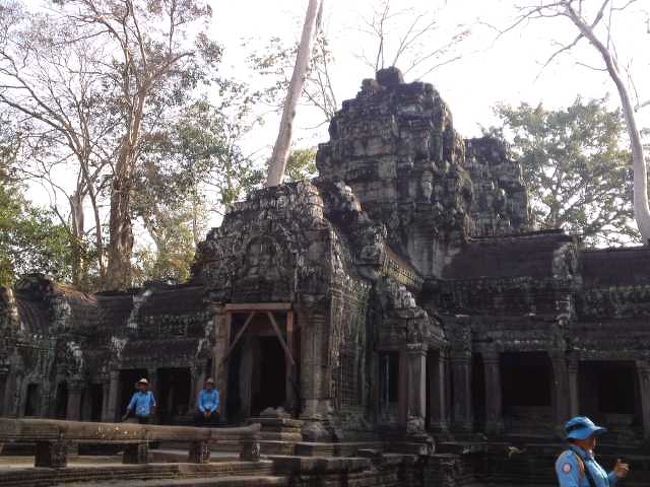 入っていいトコとダメなとこが分かりにくい。<br /><br />まんなかに映ってるところは近づいていったらダメってされた。