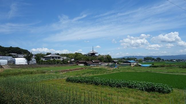 白洲正子ワールド 「十一面観音巡礼」 斑鳩 富雄川周辺の太子道