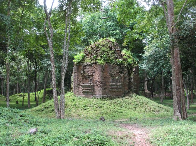 遺跡と植物の関係がステキ。<br /><br />映画「トゥームレーダー」そのもの。