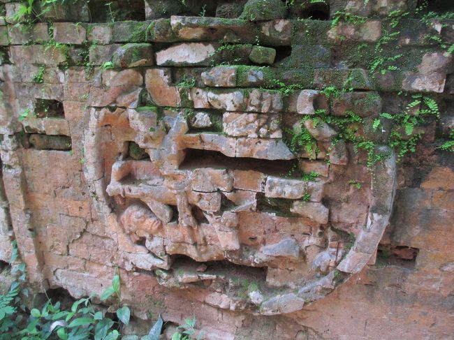 猿が喧嘩しているように見えるでしょう？