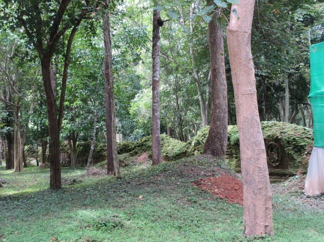 奥の土塀は遺跡の境界線。<br /><br />かなり広範囲を囲っていたようだ。