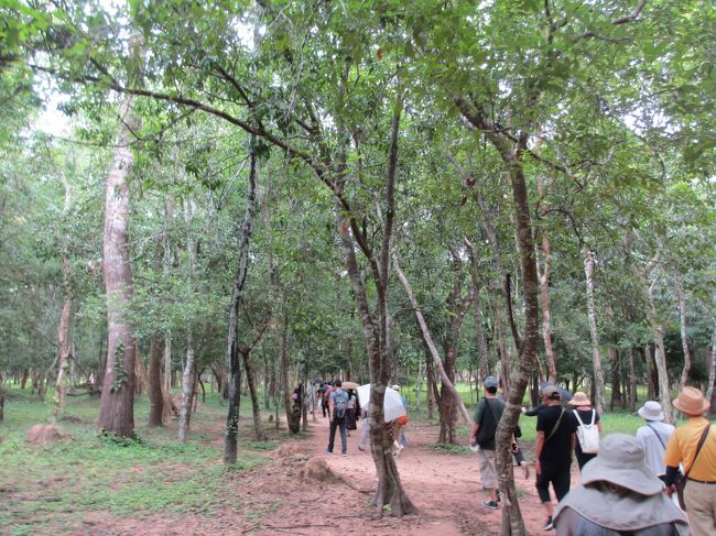 暑い中、皆さん必死でガイドさんに着いて行く。<br /><br />現地の子供達が「スカーフ　1ドル」と言いながら、<br />私達に付いて一緒に歩いている。<br />買うまで離れないつもりだ・・・