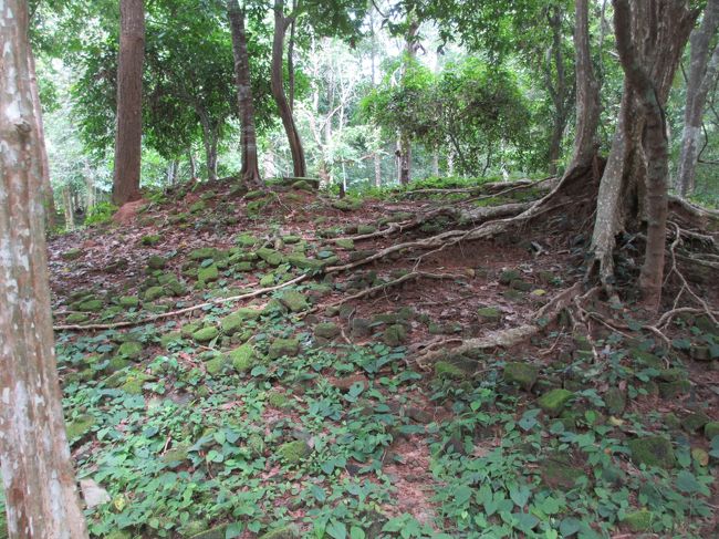 遺跡の境界線はこうやって人工的に高低差を造った。<br /><br />１００万人在住の大都市だったらしい。