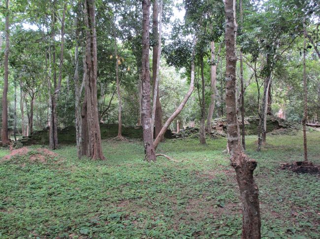 再び森の中を行く。<br /><br />直射日光を浴びないだけましか。