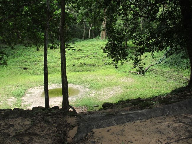 昔はこちらに水が貯められていたのだそう。<br /><br />プール的な？