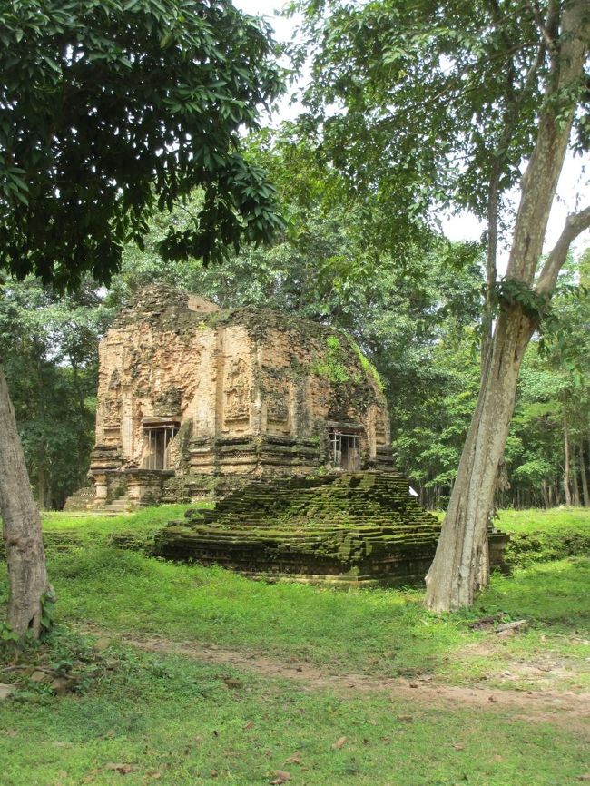 それにしても、今の今まで放置されていたのが信じられない。<br /><br />森の一部になっちゃってるよ。