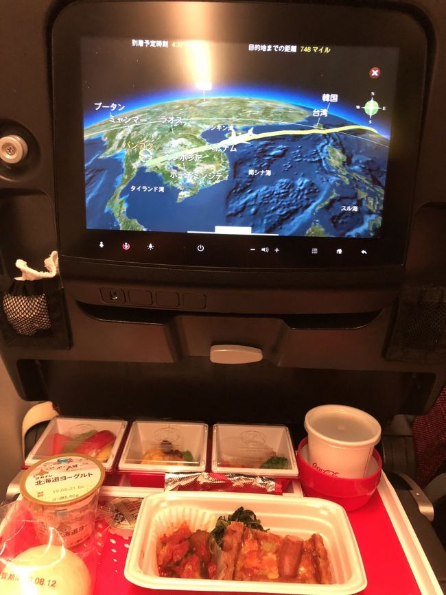 ベトナム付近で機内に電気がつき朝食に。飛行経路図がホントかっこいい♡（航空ファンなので）
