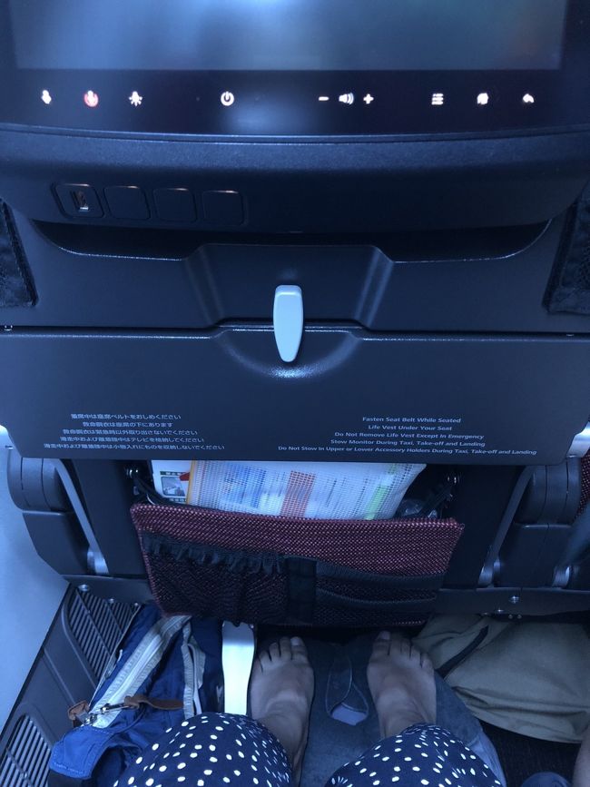 もちろんエコノミー<br />足元充分広め