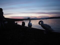 コンビニで花火を買い、山中湖で花火をすることに。
夕暮れの山中湖にて。