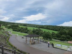 13:00
「山梨県立まきば公園」
八ヶ岳南麓に広がる県立八ヶ岳牧場の一部を開放してつくられた公園です。