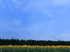 6日目　8月15日　岩手

小岩井農場