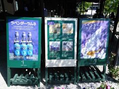 2016年7月8日(金)9時半、ファーム富田にてラベンダーソフトクリーム＋ワッフルコーン300円を食す。