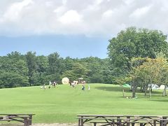 エントランスを入ったら、広大な敷地。