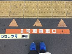 今日も日野駅から出発です。
これから総武線各駅停車に乗り換えるため、御茶ノ水駅へ向かいます。