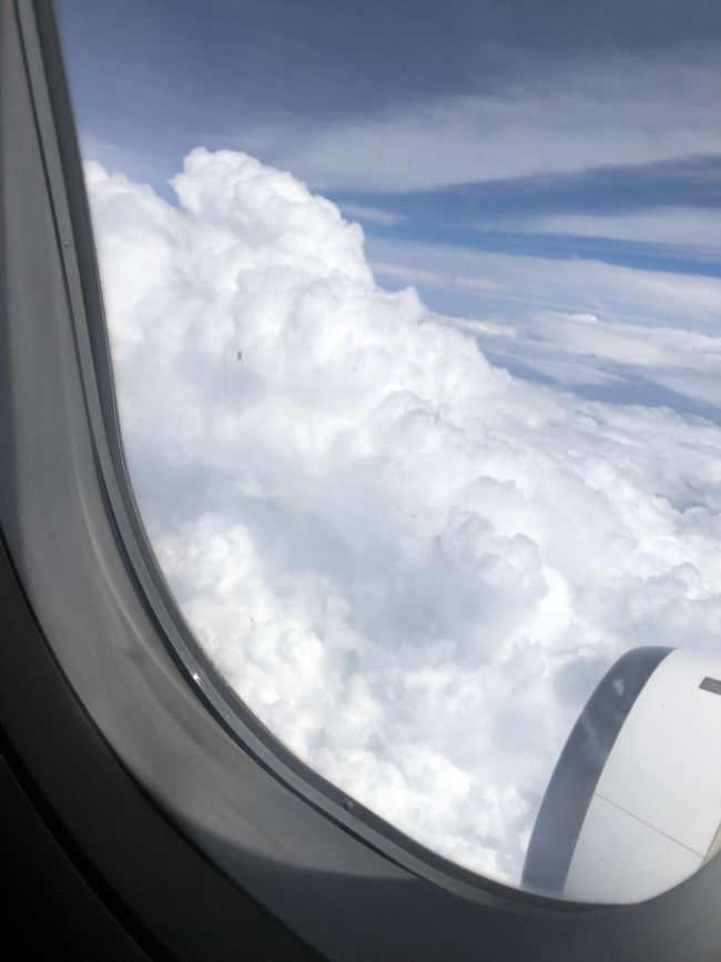 バンコク→モルディブの飛行時間は4時間半。眼下にスリランカが見え、もうすぐモルディブかな(^-^)