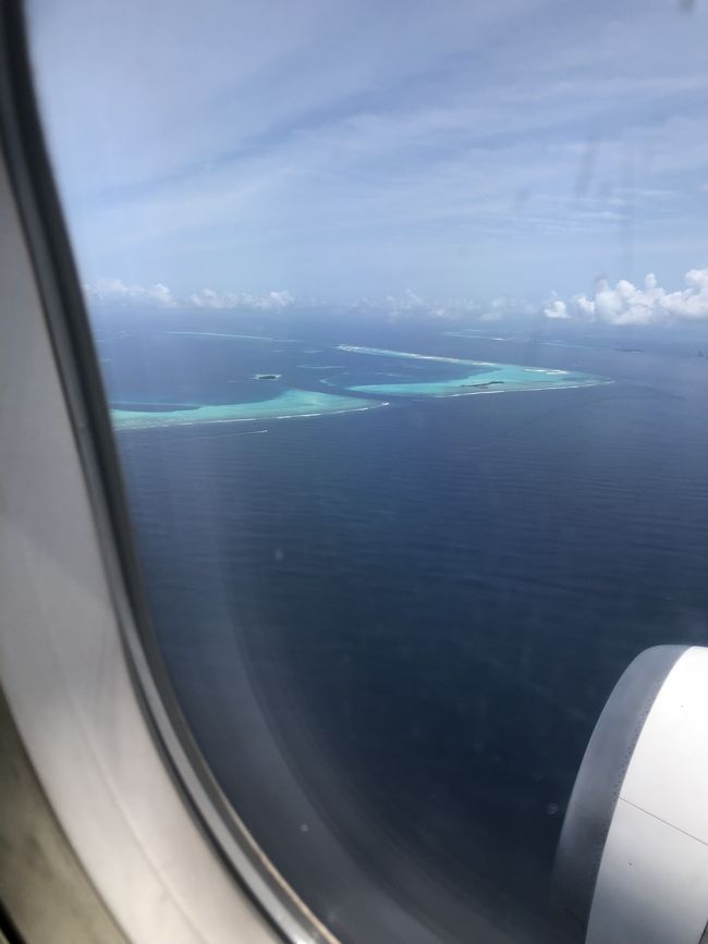 見えてきたーー！