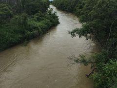 昨日まで降っていた雨の影響で増水している網走川。
うっそうとしたジャングルに流れる川のようだ。