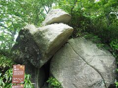 すぐあるのが「ガマ石」。「ガマの油」の口上を考案した永井兵助が、この岩の前で口上の文句を考えたそうです。岩の割れ目が蛙の口に見えなくもないですね。