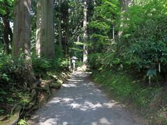 8：10　羽黒山・出羽神社
大きな杉並木の参道。