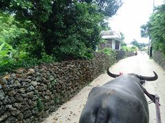 水牛車に乗りたかったので、水牛車の受付で料金を払って説明を受けます。
水牛車は10分置きくらいに頻繁に出てました。

名前を呼ばれ水牛車の乗り込みます。
1番で名前を呼ばれたので先頭に座ることが出来ました、ラッキー！
ひいてくれる水牛の名前はマブヤー君。
このお店にいる一番若い水牛だそうです。