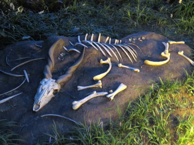 よこはまズーラシアの昼と夜 １ 動物園いろいろ ベトナムランタンと動物バルーンのあるナイトズーラシアに惹かれて 横浜 神奈川県 の旅行記 ブログ By まみさん フォートラベル